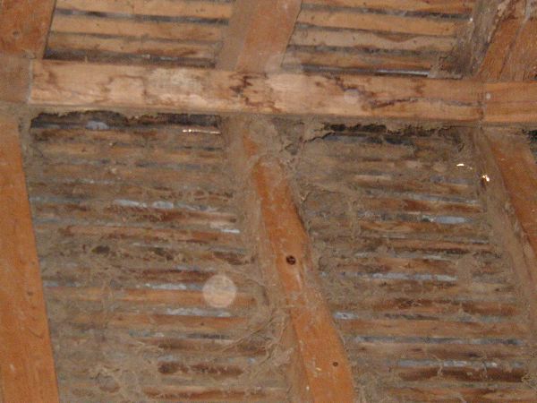 image7.jpg