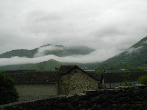 image1.jpg