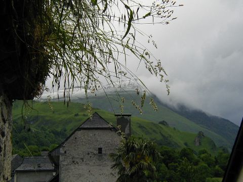 image2.jpg