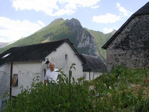 image6.jpg