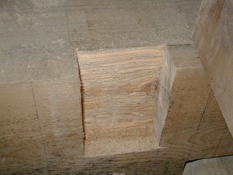 image8.jpg