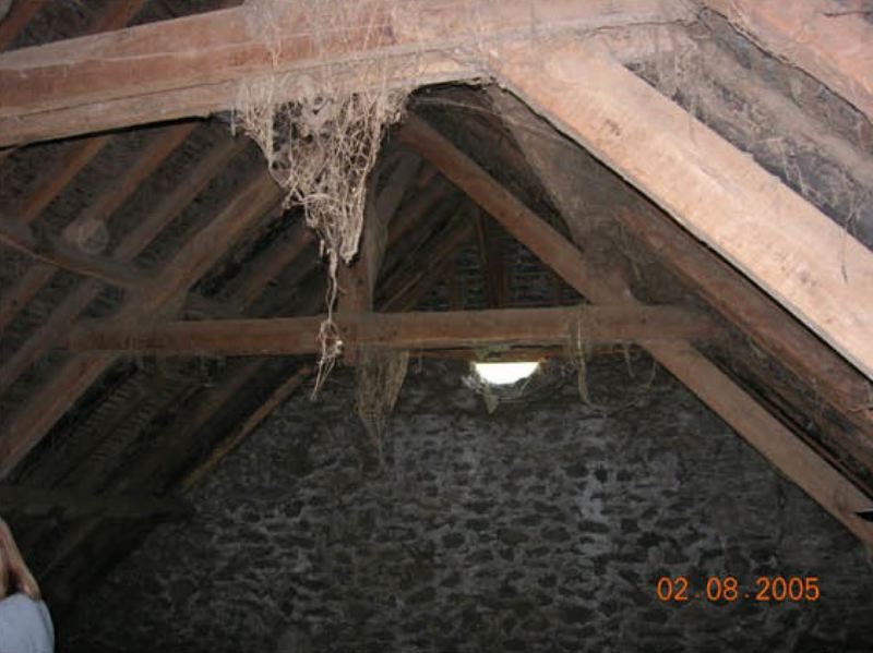 image1.jpg