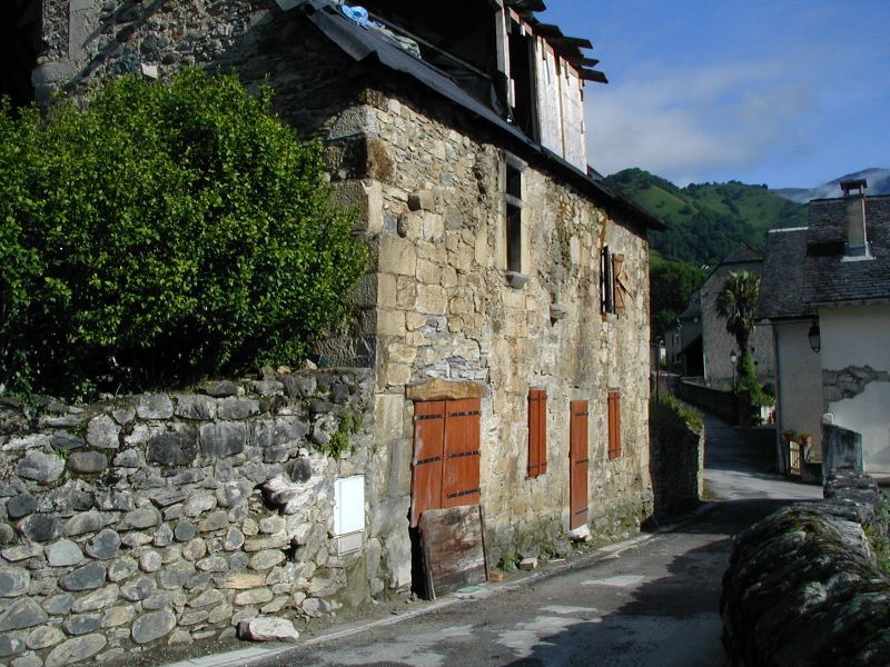 image5.jpg