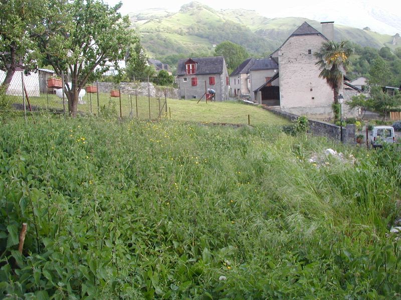 image4.jpg