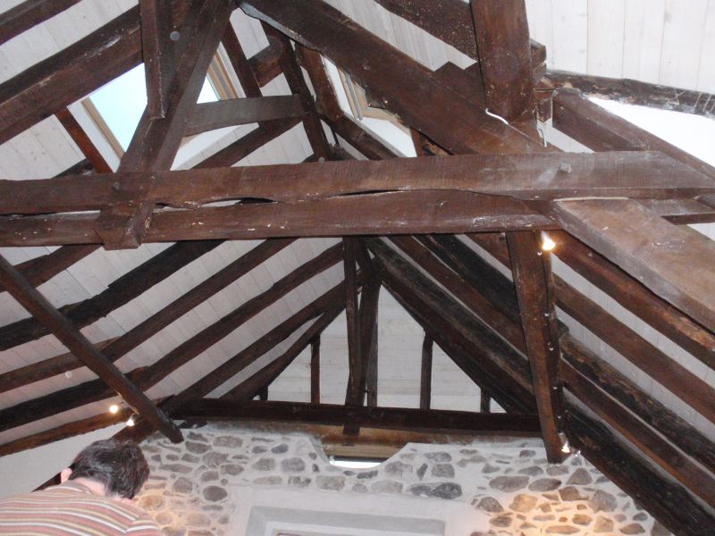 image9.jpg