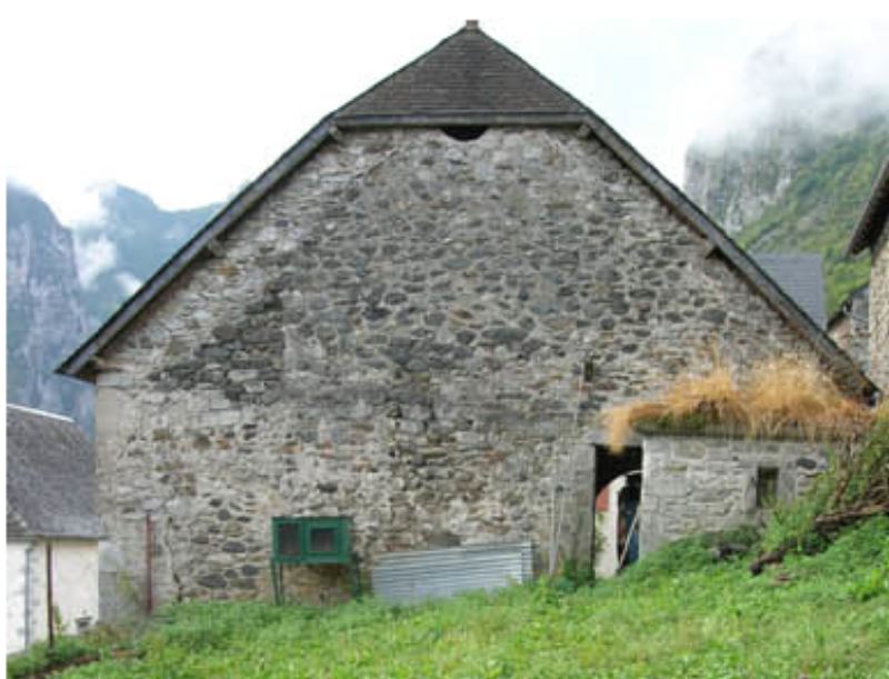 image1.jpg
