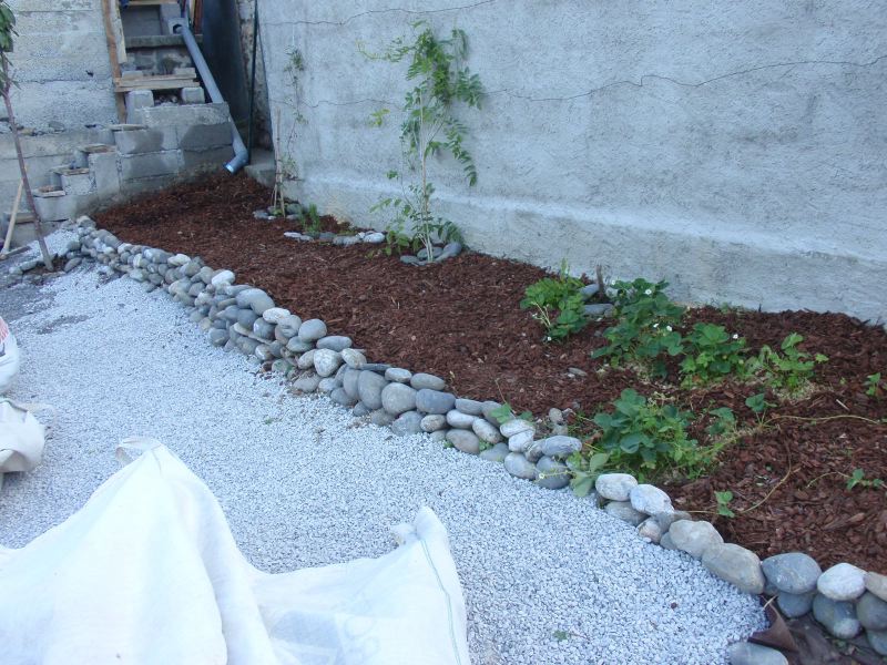 image6.jpg