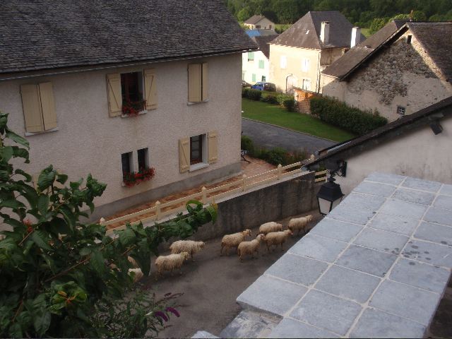 image8.jpg