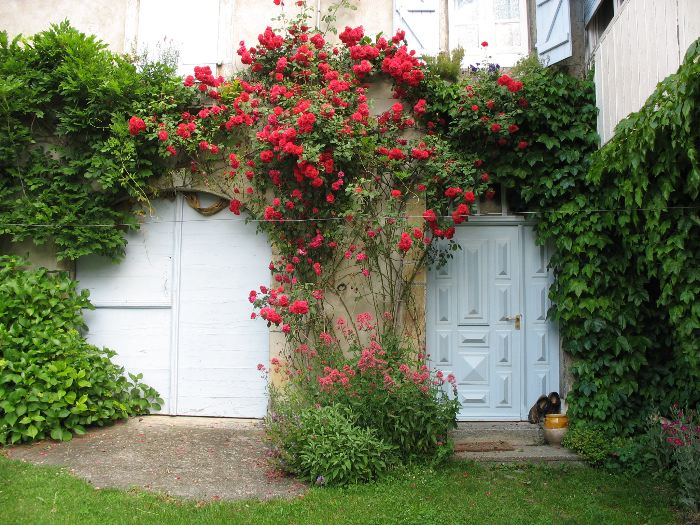 image23.jpg