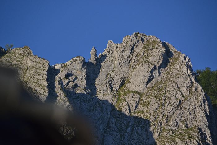 image4.jpg