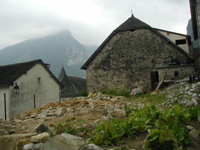 image12.jpg