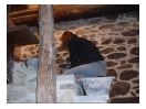 image11